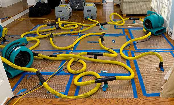 Professional Water Damage Restoration technician working in Avila Beach, CA